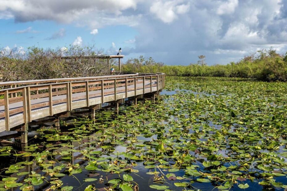 One Perfect Day In Everglades National Park – Earth Trekkers