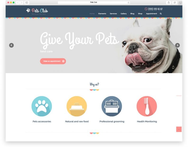 Must-Have Pages For Pet Store Websites — Pet Engine Marketing - Your Pet  Store Marketing Agency