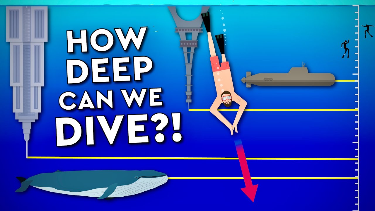 What Is The Deepest A Human Can Dive? Debunked - Youtube