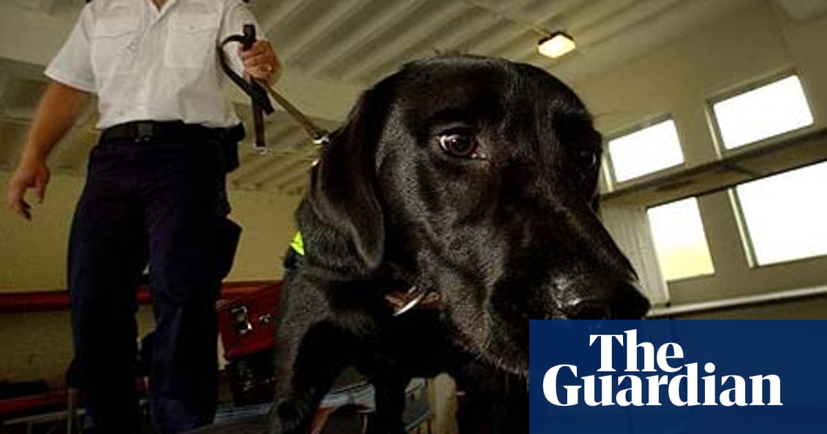 Smells Suspicious | Science | The Guardian