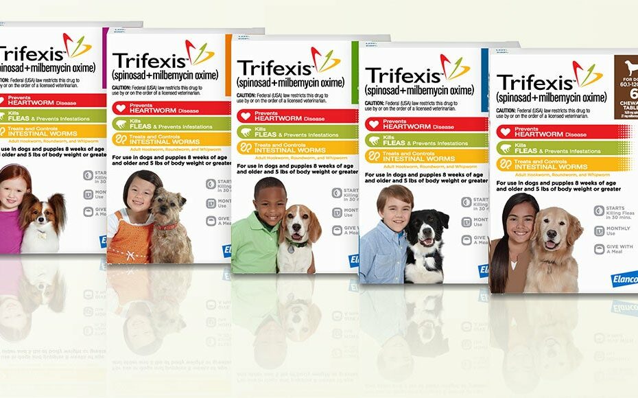 Trifexis® - Treatment For Fleas And Heartworm Disease For Dogs
