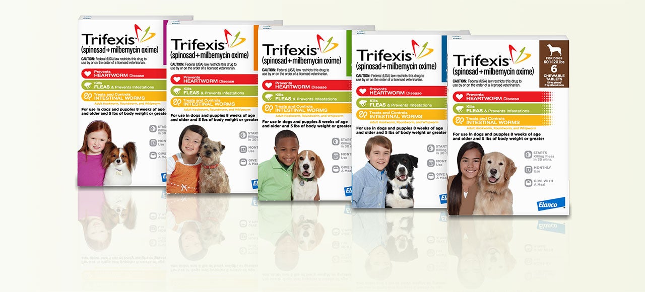 Trifexis® - Treatment For Fleas And Heartworm Disease For Dogs